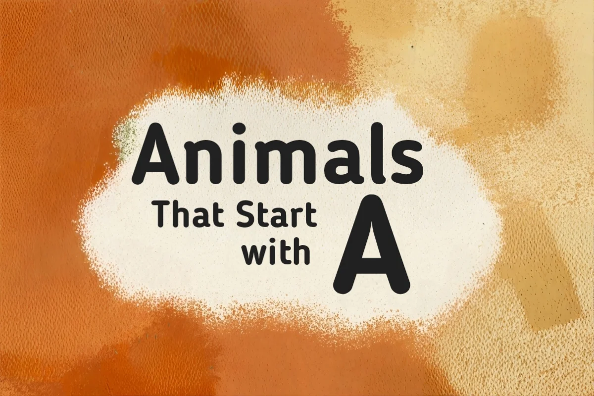 Animal Names-Animals That Start with A