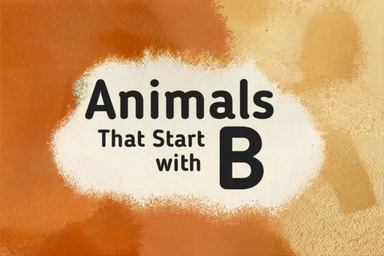Animal Names-Animals That Start with B