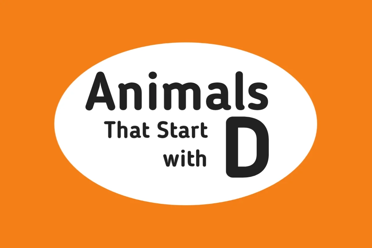 Animal Names-Animals That Start with D