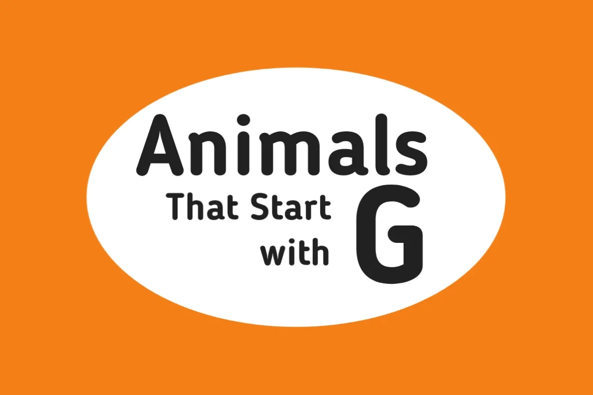 Animal Names-Animals That Start with G