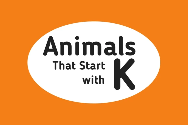 Animal Names-Animals That Start with K