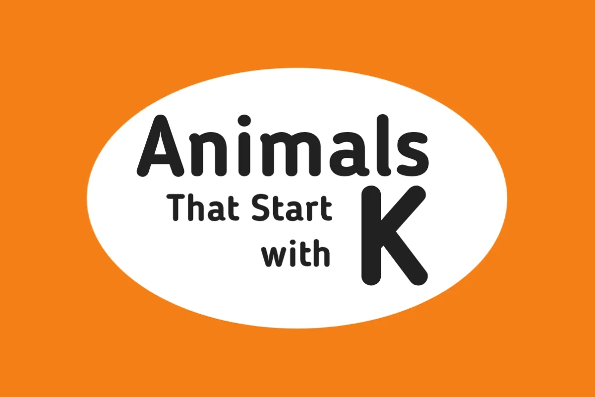 Animal Names-Animals That Start with K