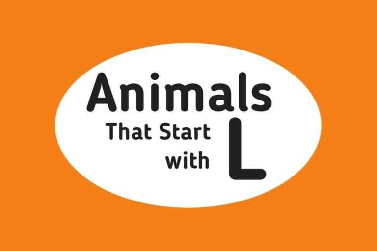 Animal Names-Animals That Start with L