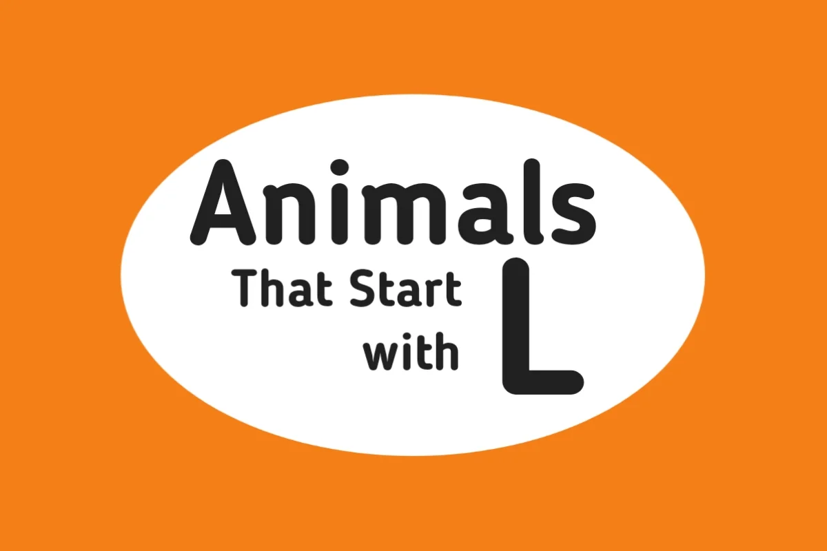 Animal Names-Animals That Start with L