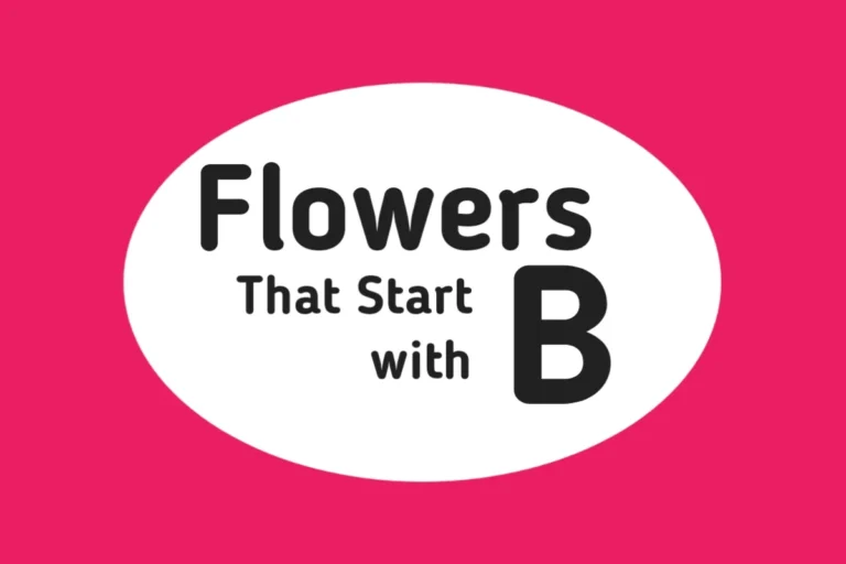 Flower Names-Flowers That Start with B