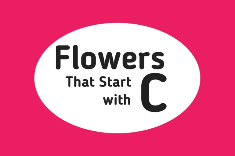 Flower Names-Flowers That Start with C