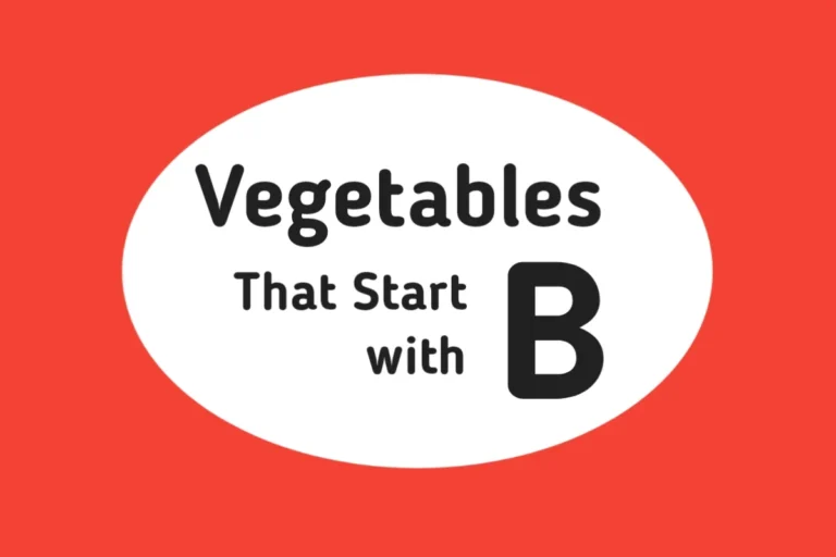 Vegetable Names-Vegetables That Start with B