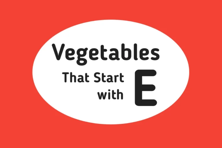 Vegetable Names-Vegetables That Start with E