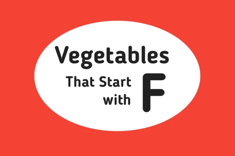 Vegetable Names-Vegetables That Start with F