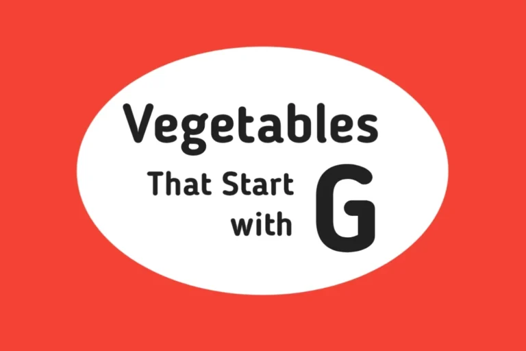 Vegetable Names-Vegetables That Start with G