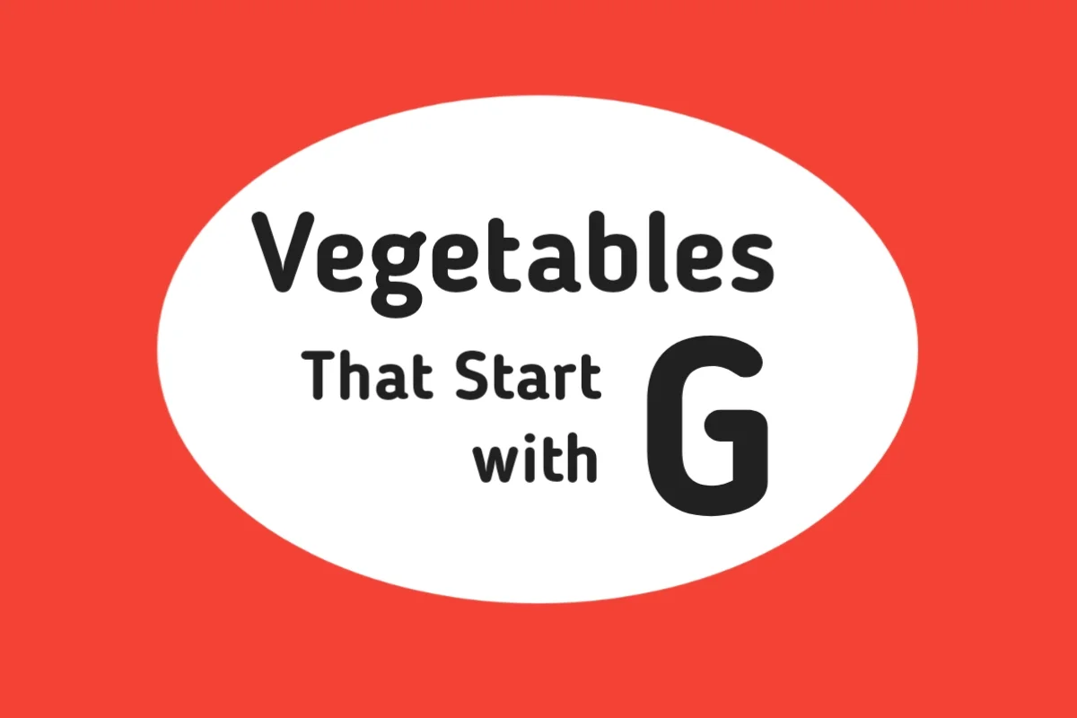 Vegetable Names-Vegetables That Start with G