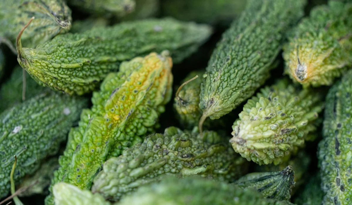 Vegetables That Start With B