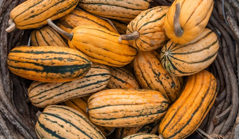 Vegetables That Start With D