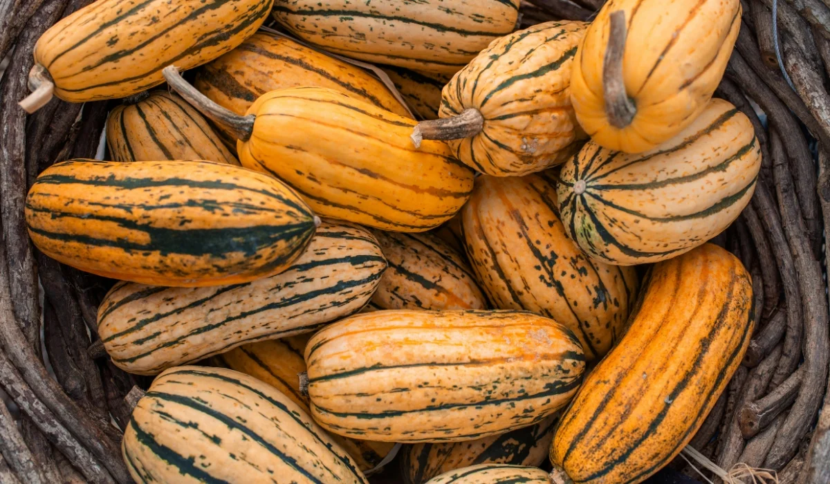 Vegetables That Start With D