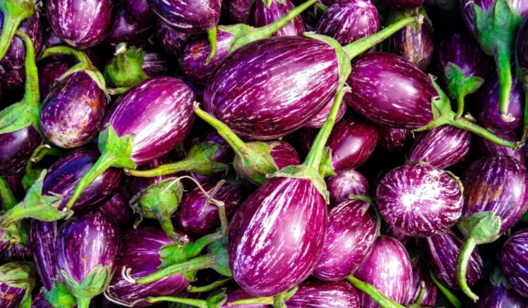 Vegetables That Start With E