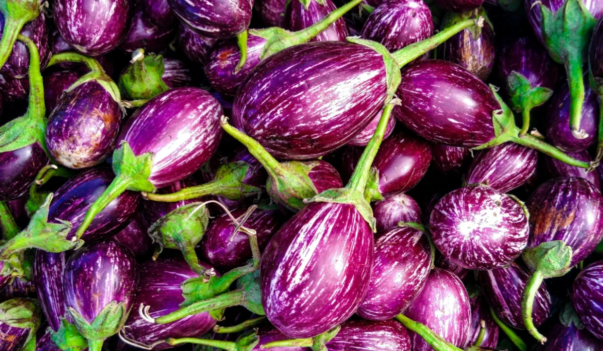 Vegetables That Start With E