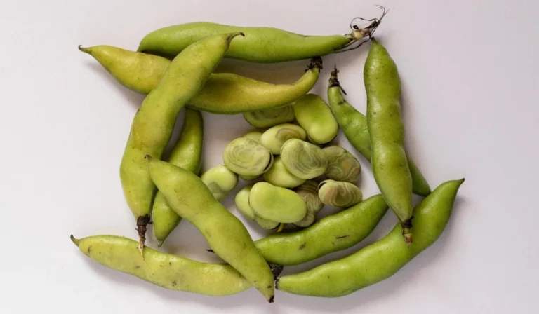 Vegetables That Start With F