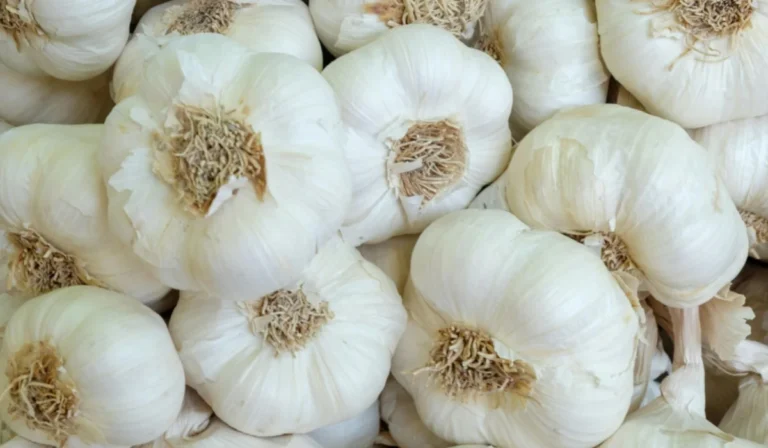 Vegetables That Start With G