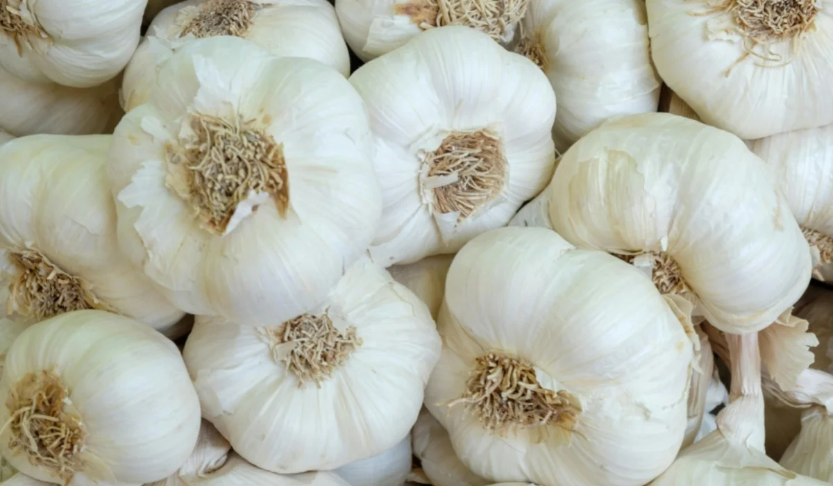 Vegetables That Start With G