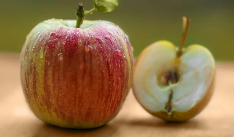 Fruits That Start with A