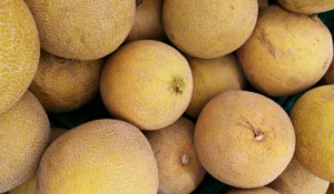 Fruits That Start with H