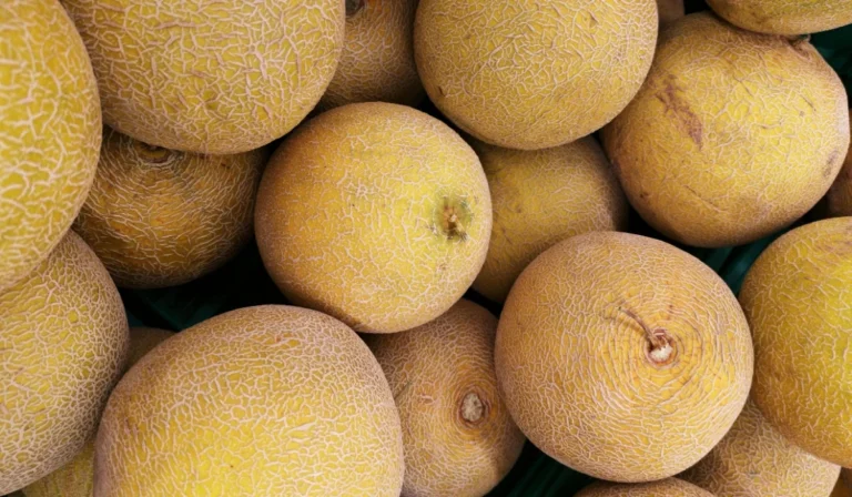 Fruits That Start with H