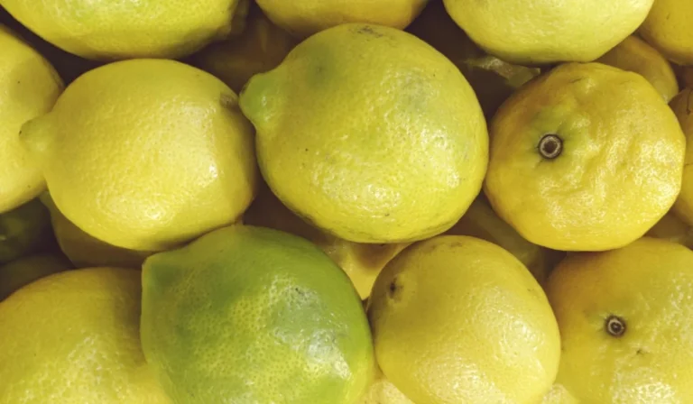 Fruits That Start with L