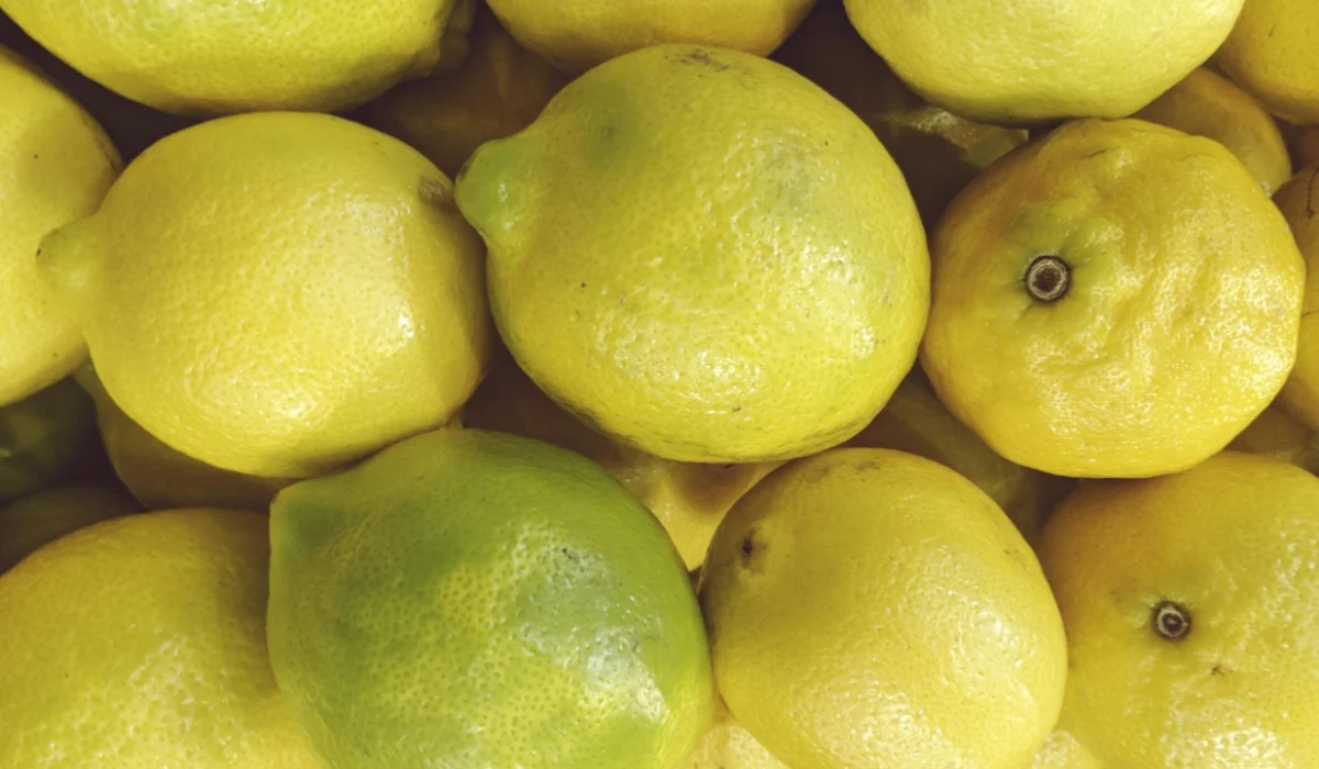 Fruits That Start with L