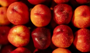 Fruits That Start with N