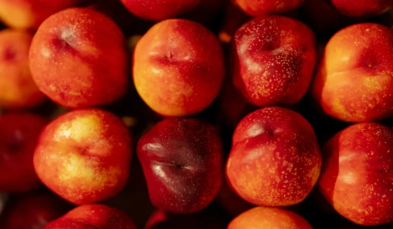 Fruits That Start with N