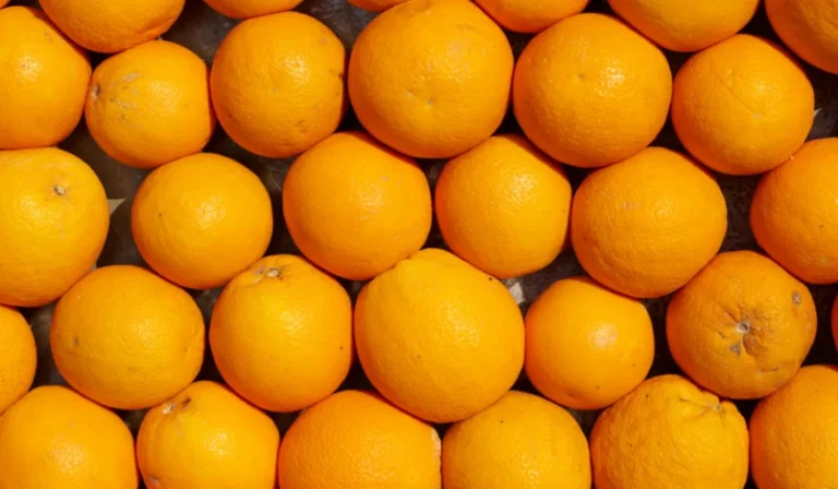 Fruits That Start with O