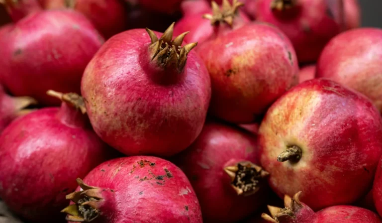 Fruits That Start with P