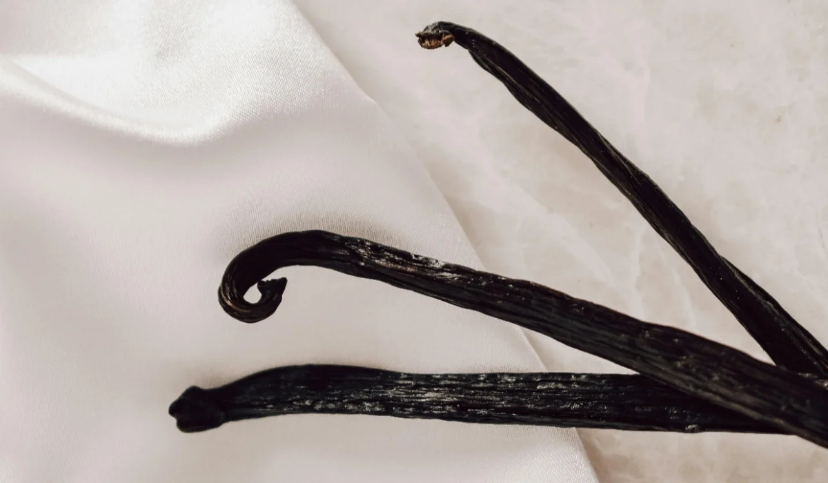 Fruits That Start with V