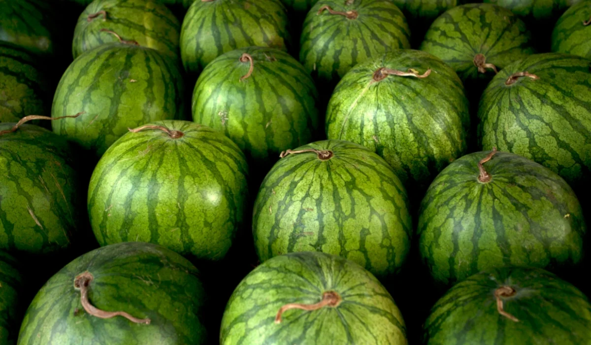 Fruits That Start with W