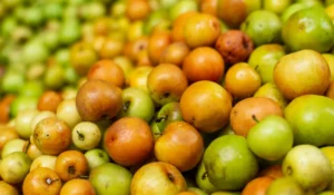 Fruits That Start with Z