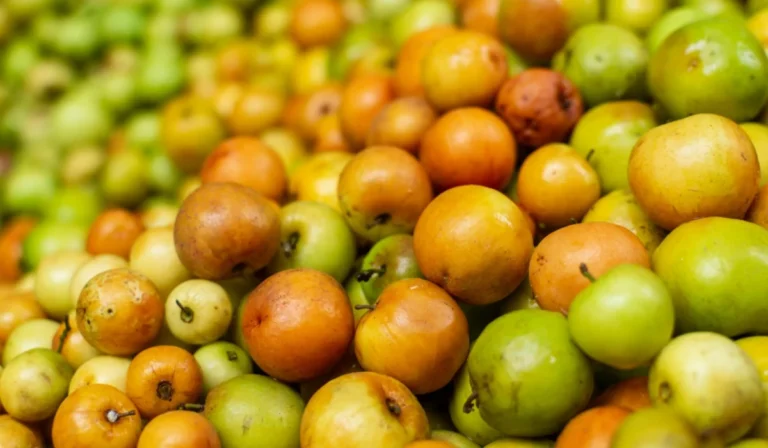 Fruits That Start with Z